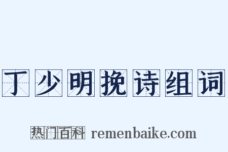 丁少明挽诗组词是什么意思的图片
